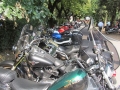 MGM2011_0174