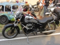 MGM2011_0321