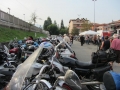 MGM2011_0339