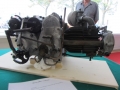 MGM2011_0384