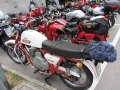 MGM2011_0593